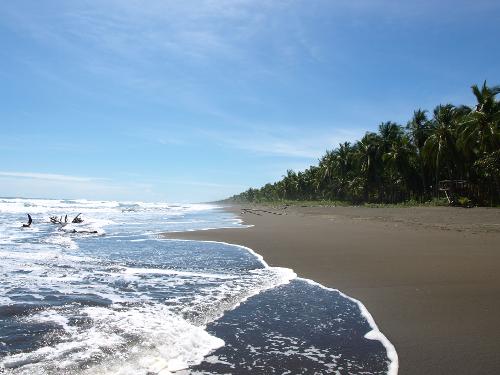 Book Clandestino Beach Resort, Parrita, Costa Rica - Hotels.com