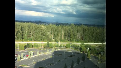 Tulalip casino fight night