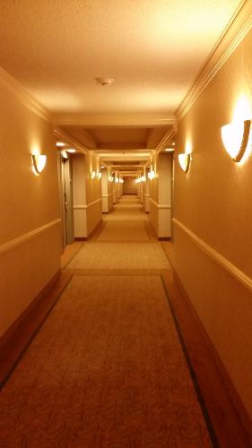 Hollywood casino bay st louis login